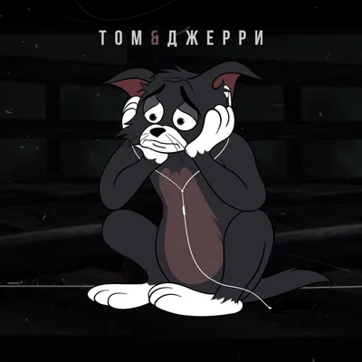 Журналы Tom and Jerry (WB) Коллекция для детей (1-12/21) Том и Джерри 12  номеров купить по цене 749 ₽ в интернет-магазине Детский мир