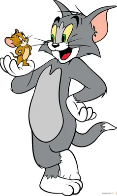 15 любопытных фактов о мультфильме «Том и Джерри» и его создателях - KP.RU
