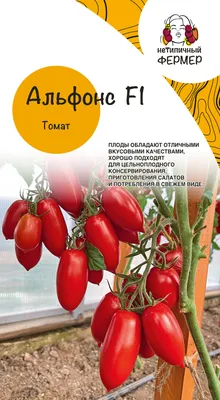 Томат Азамат F1: описание, характеристики, отзывы, фото, купить семена  оптом от производителя в Москве