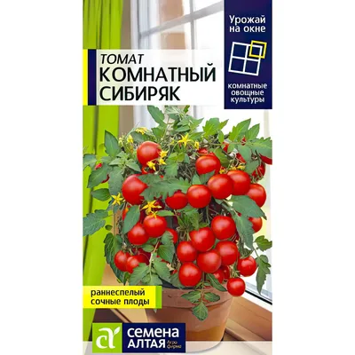 Томаты коктейльные Россия 250г купить c доставкой на дом в  интернет-магазине КуулКлевер