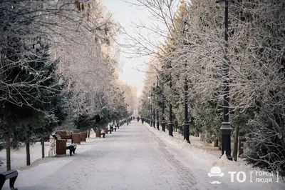 Город прерванного праздника: в Томске отменили День молодежи. Фото - РИА  Томск