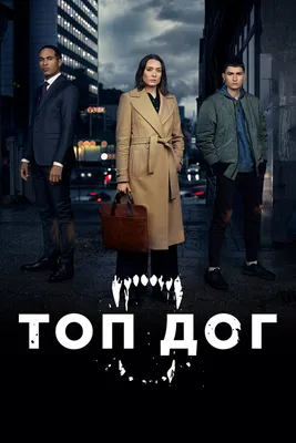 Топ дог (сериал, 1-2 сезоны, все серии), 2020 — описание, интересные факты  — Кинопоиск