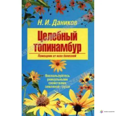 Сырой Диетический Иерусалимский Артишок Антиоксидант Топинамбура стоковое  фото ©AndreySt 549673560