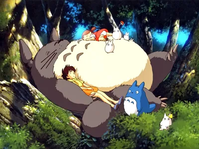 My Neighbor Totoro' Gets China Release – The Hollywood Reporter