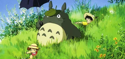 My Neighbor Totoro Review – The Hawk