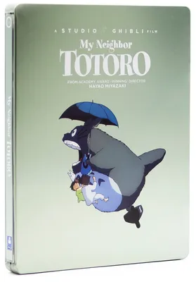 What to talk to your kids about after watching My Neighbor Totoro | BBFC