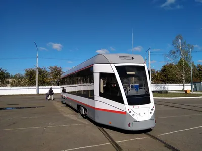 Сегодня в Томске начал курсировать арт-трамвай с изображением Томы, Ушая и  скачущих лошадей - Томский Обзор – новости в Томске сегодня