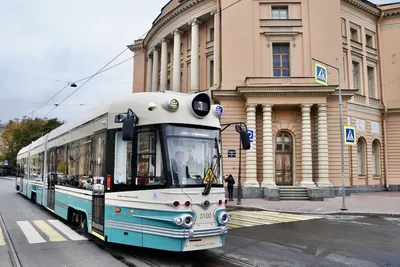 Новые трамваи «Львята» вышли на тульские улицы - Новости Тулы и области -  MySlo.ru