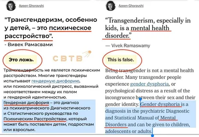 В мужской колонии в Тверской области будет сидеть трансгендер с женскими  органами. Правозащитники бьют тревогу - Тверь24 - новости в Тверском регионе