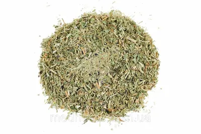 Звездчатка (мокрица трава) - Лекарственные травы