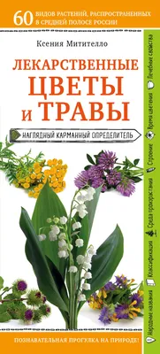 Аквариумные растения — название, фото -Статьи об аквариумах и их обитателях  -Статьи и Новости