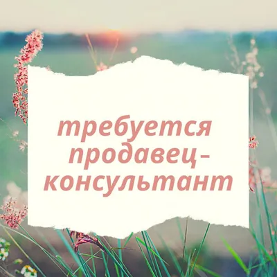 Атриет - Требуется продавец консультант в магазин игрушек в центре г  Худжанда. Возрасте от 20-30 лет. Знание русского языка обязательно. Звонить  по телефону. 98-7703421. | Facebook