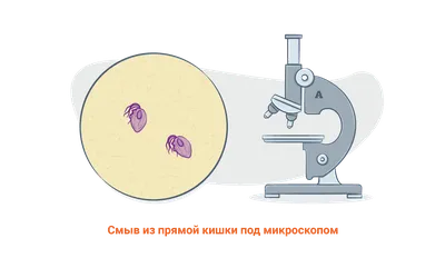 Трихомониаз у мужчин: симптомы, причины, лечение, профилактика в домашних  условиях