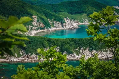 Экскурсии летом 2023 во Владивостоке: цены и расписание летних экскурсий