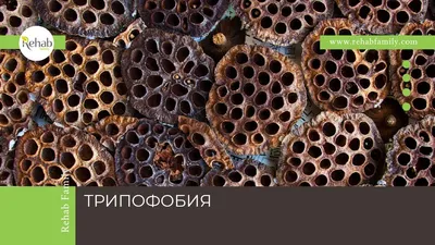 Трипофобия: полный обзор причин, симптомов, признаков, стадий, последствий  и методов лечения | Центр Ключи