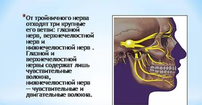 Neyromed Servis - Симптомы Главным характерным признаком невралгии тройничного  нерва является приступообразная боль. Она наступает внезапно и по своей  интенсивности и скорости распространения напоминает удар электрическим  током. Обычно интенсивное ...