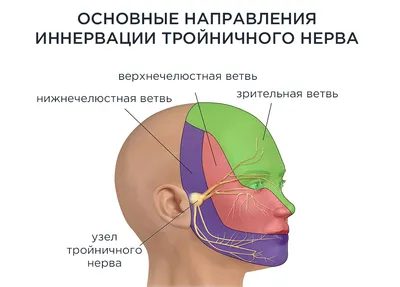 Невралгия тройничного нерва - статьи от компании Еламед