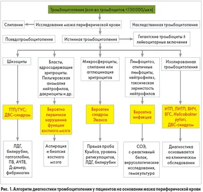 ГОРМОНАЛЬНАЯ КОНТРАЦЕПЦИЯ И ТРОМБОЗЫ