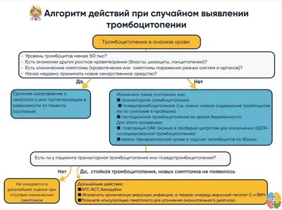 Иммунная тромбоцитопения, ассоциированная с инфекцией Helicobacter pylori:  патогенез, диагностика и лечение – тема научной статьи по клинической  медицине читайте бесплатно текст научно-исследовательской работы в  электронной библиотеке КиберЛенинка