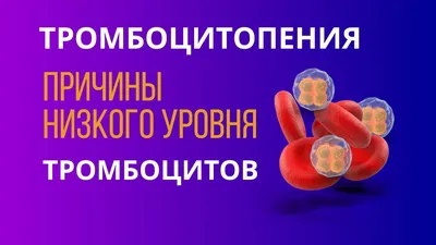 Тромбоцитопения фото