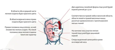 Еще одна смерть в погранвойсках | КТК