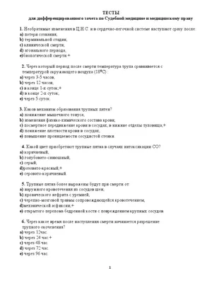 По стенам ползают опарыши»: как в Новосибирске убирают квартиры после смерти  одиноких людей - sib.fm