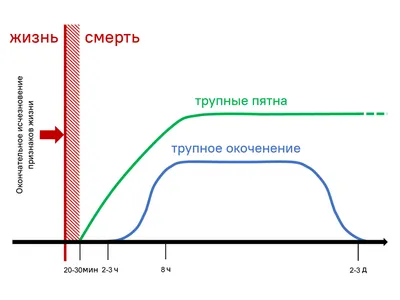 На теле погибшего в милиции Дмитрия Поздеева обнаружены вероятные следы  побоев (ФОТО) | Новини