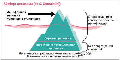 Blog | Что такое целиакия?