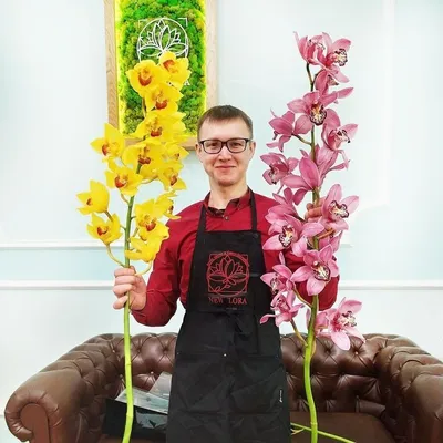 Орхидея Цимбидиум белая (00029) купить поштучно с доставкой в Архангельске
