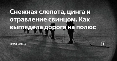 В 1940-е годы на Ламе готовили хвойный квас – им лечили цингу