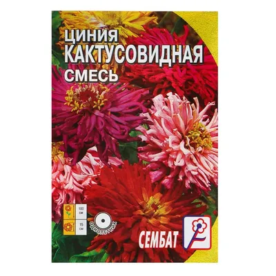 Циннии — посадка, уход, виды и сорта. Выращивание. Цветы. Фото — Ботаничка