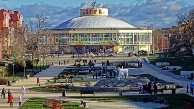 Днепровский государственный цирк | Дети в городе Днепр