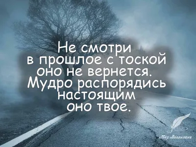 Мудрые цитаты, афоризмы , высказывания. | Театры, музеи и любимая Москва |  Дзен