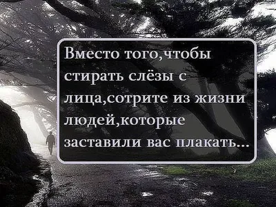 Собрали важные цитаты о жизни, стиле и любви к себе от икон стиля, которыми  вдохновляемся. Расскажите, что у Вас отозвалось больше всего? | Instagram