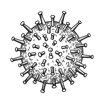 Цитомегаловирус