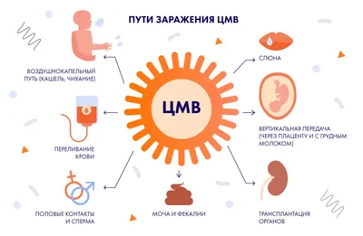 Цитомегаловирус – Propid