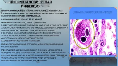 Цитомегаловирусная инфекция у детей: симптомы, лечение и профилактика