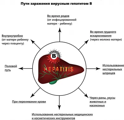 Симптомы вирусного гепатита С | Gepatit_ off | Дзен