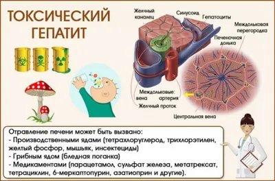 Неделя борьбы с вирусным гепатитом С