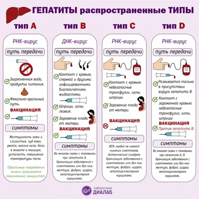 Зеленый кал - причины появления, при каких заболеваниях возникает,  диагностика и способы лечения