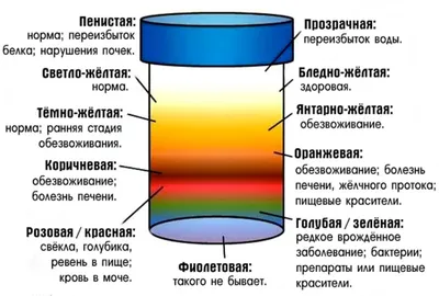 Цвет мочи фото