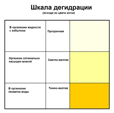 О чем расскажет цвет мочи? Нормы и отклонения. | Между нами | Дзен