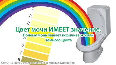 Общий анализ мочи: когда назначают, как подготовиться к сдаче и что  показывают результаты анализа мочи?