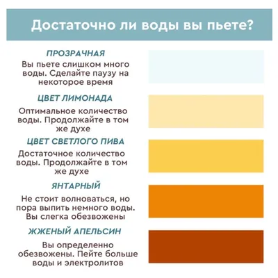 Коричневая моча - причины появления, при каких заболеваниях возникает,  диагностика и способы лечения