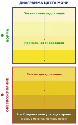 Причины яркого желтого цвета мочи: объяснение явления