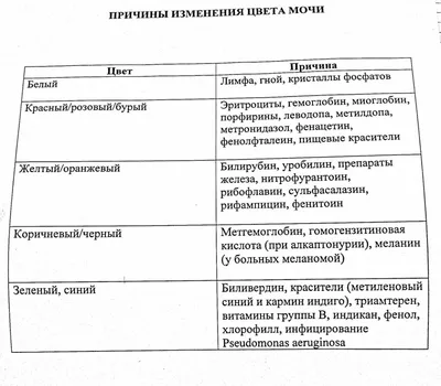 Розовый цвет мочи от свеклы – что означает, симптомы болезни