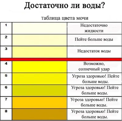 Хлопья в моче - причины появления, при каких заболеваниях возникает,  диагностика и способы лечения