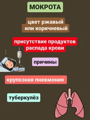 Цвет мокроты может сигнализировать о степени воспаления легких - Мировые  новости