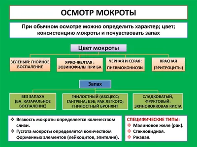 Отзыв о Отхаркивающее муколитическое средство Бромгексин 8 Берлин хеми |  Таблетки помогающие от харкать всю мокроту