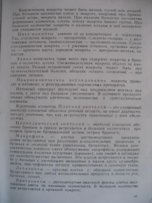 МОКРОТА - определение и синонимы слова мокрота в словаре украинский языка